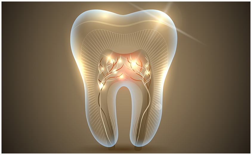 East York Root Canal Therapy | Dolphin Dental | East York Dentist